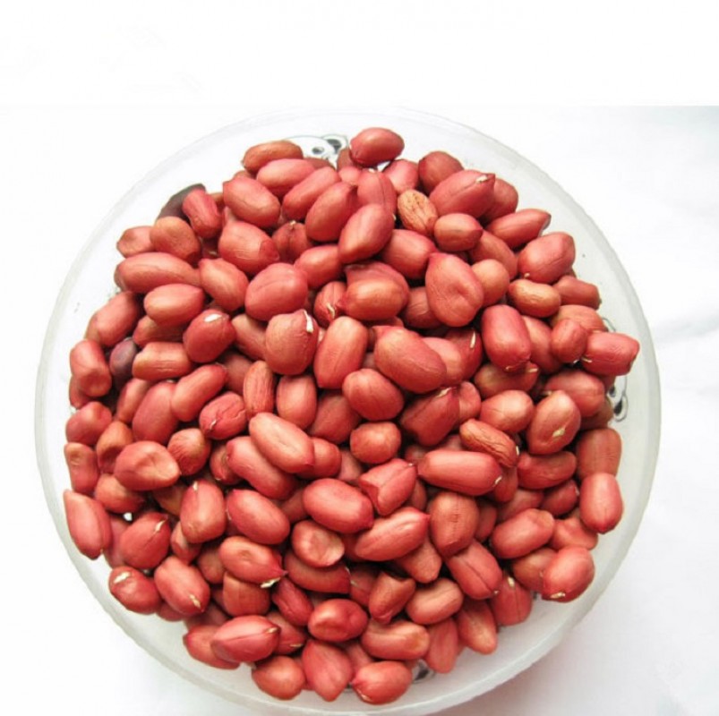 SK-AGRICROPS ENTERPRISES from Tanzania
